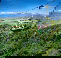 Best of Kuranda Including Skyrail Kuranda Scenic Railway and Rainforestation - Accommodation Port Macquarie