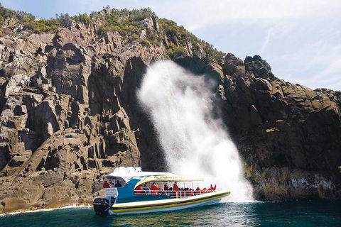 Full-Day Bruny Island Cruises Day Tour From Hobart - Accommodation Port Macquarie 4