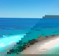 Ocean Safari Great Barrier Reef Experience in Cape Tribulation - Accommodation Port Macquarie