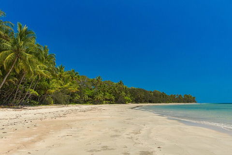 Ocean Safari Great Barrier Reef Experience In Cape Tribulation - Accommodation Port Macquarie 4