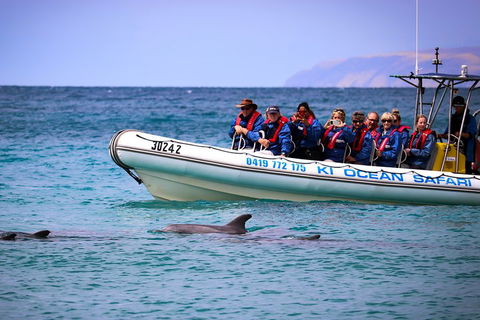 Kangaroo Island 75-Minute Ocean Safari - Accommodation Port Macquarie 4