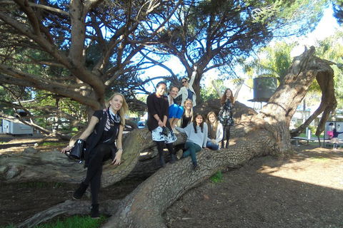 1/2 Day Swan Valley Wine Cheese & Chocolate Tour Inc Afternoon Cruise To Perth - Accommodation Port Macquarie 0