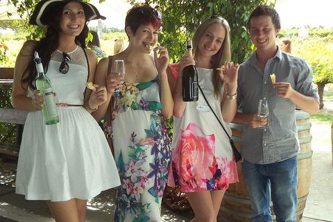 1/2 Day Swan Valley Wine Cheese & Chocolate Tour Inc Afternoon Cruise To Perth - Accommodation Port Macquarie 4