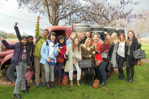 1/2 Day Swan Valley Wine Cheese & Chocolate Tour Inc Afternoon Cruise To Perth - Accommodation Port Macquarie 5
