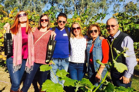 Wine Tasting Day Trip And Swan Valley River Cruise To Perth - Accommodation Port Macquarie 2