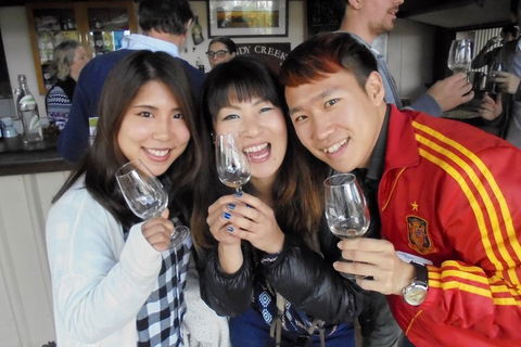 Wine Tasting Day Trip And Swan Valley River Cruise To Perth - Accommodation Port Macquarie 3