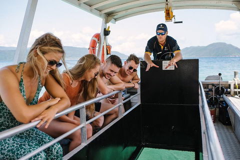 Fitzroy Island Day Trip From Cairns - Accommodation Port Macquarie 4