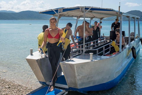 Fitzroy Island Day Trip From Cairns - Accommodation Port Macquarie 5