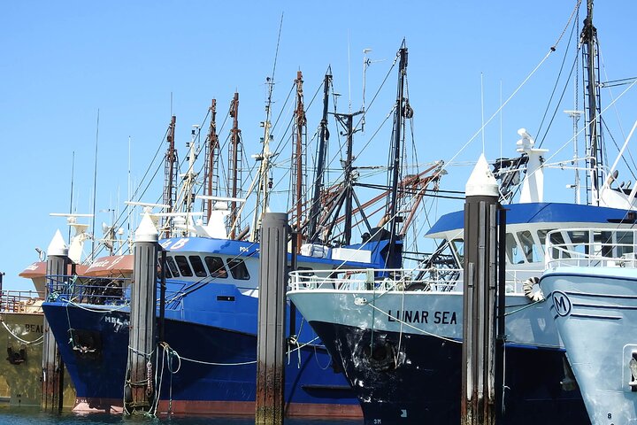  Accommodation Port Macquarie