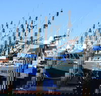 One Day Port Lincoln Tour - Tasting Eyre - Accommodation Port Macquarie