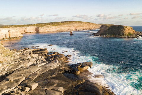 One Day Port Lincoln Tour - Tasting Eyre - Accommodation Port Macquarie 3