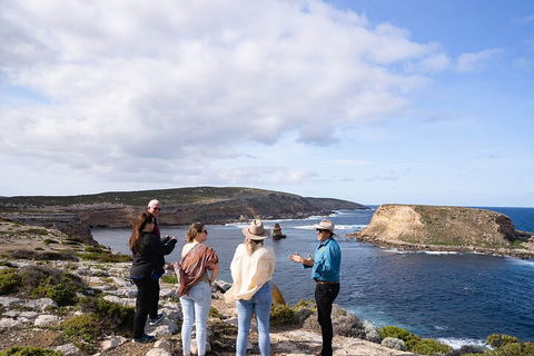 One Day Port Lincoln Tour - Tasting Eyre - Accommodation Port Macquarie 4