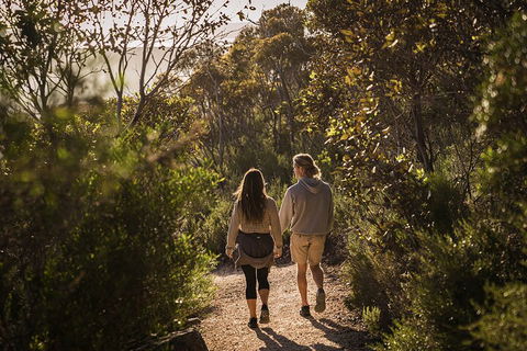 One Day Port Lincoln Tour - Tasting Eyre - Accommodation Port Macquarie 5