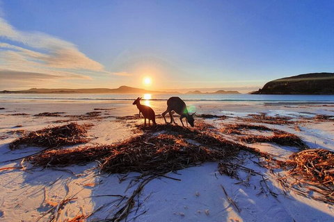 10-Day Perth To Adelaide Adventure Tour - Accommodation Port Macquarie 1