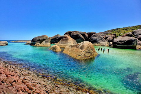 10-Day Perth To Adelaide Adventure Tour - Accommodation Port Macquarie 5