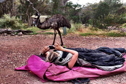 6 Day Esperance & Margaret River Adventure Tour - Accommodation Port Macquarie 5