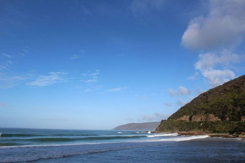 Private Great Ocean Road Day Tour With Early Departure & Early Return (11 Hours) - Accommodation Port Macquarie 3