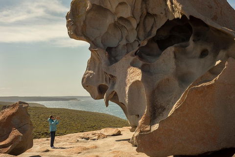Kangaroo Island In A Day Tour From Adelaide - Accommodation Port Macquarie 5