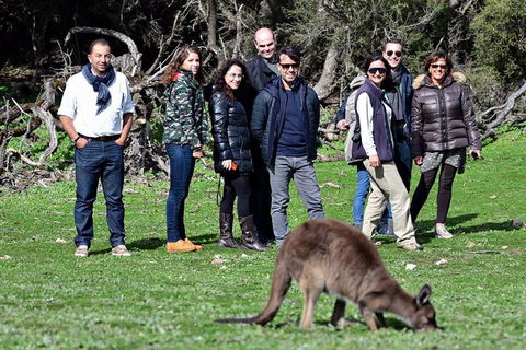 2-Day Kangaroo Island 4WD Small-Group Tour From Adelaide - Accommodation Port Macquarie 1