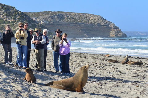2-Day Kangaroo Island 4WD Small-Group Tour From Adelaide - Accommodation Port Macquarie 3