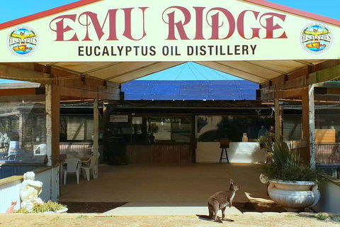 2 Day Ultimate Kangaroo Island With Return Ferry - Accommodation Port Macquarie 3