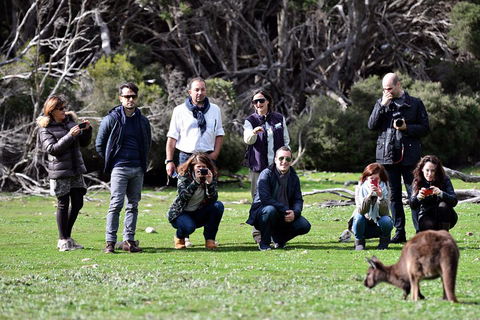 Small-Group Kangaroo Island 4WD Tour From Adelaide - Accommodation Port Macquarie 2