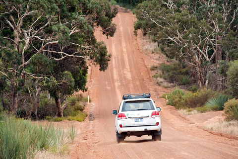 Small-Group Kangaroo Island 4WD Tour From Adelaide - Accommodation Port Macquarie 3