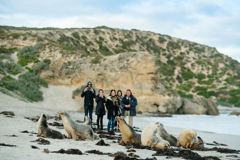 Small-Group Kangaroo Island 4WD Tour From Adelaide - Accommodation Port Macquarie 4