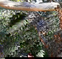 Small-Group Great Ocean Road Day Trip from Melbourne - Accommodation Port Macquarie