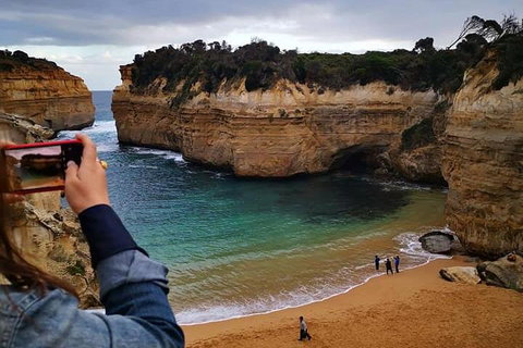 Small-Group Great Ocean Road Day Trip From Melbourne - Accommodation Port Macquarie 1