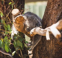 Melbourne City Tour and Phillip Island in One Day - Accommodation Port Macquarie