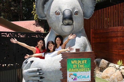 Kuranda Koala Gardens And Birdworld Admission Tickets - Accommodation Port Macquarie 3