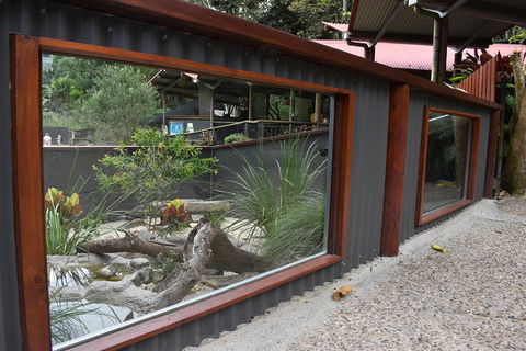 Kuranda Koala Gardens And Birdworld Admission Tickets - Accommodation Port Macquarie 4