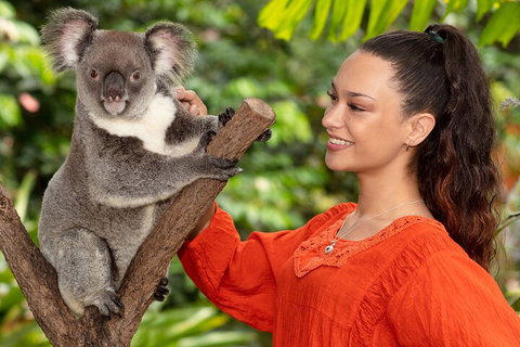 Kuranda Wildlife Experience Three Attraction Pass - Accommodation Port Macquarie 4