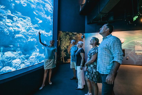 Cairns Aquarium By Twilight With 3-Course Dinner - Accommodation Port Macquarie 1