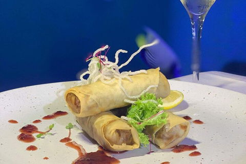 Cairns Aquarium Marine Life Encounter Ticket With 2-Course Lunch - Accommodation Port Macquarie 1