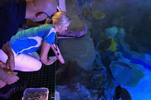 Cairns Aquarium Marine Life Encounter Ticket With 2-Course Lunch - Accommodation Port Macquarie 2