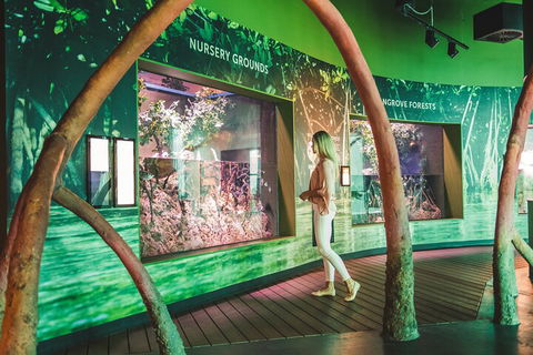 Cairns Aquarium Marine Life Encounter Ticket With 2-Course Lunch - Accommodation Port Macquarie 3