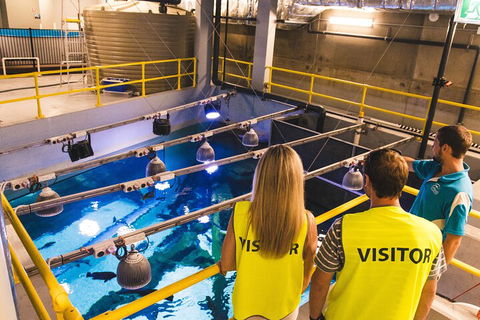 Cairns Aquarium Marine Life Encounter Ticket With 2-Course Lunch - Accommodation Port Macquarie 5