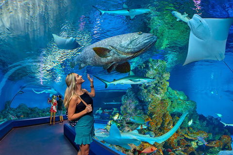 Cairns Aquarium Admission Ticket - Accommodation Port Macquarie 3