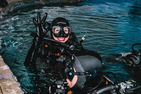 Cairns Aquarium Dive With The Sharks - Accommodation Port Macquarie 0