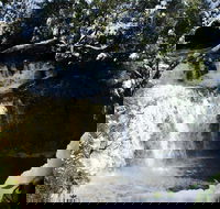 Cradle Mountain Day Tour from Launceston Including Lunch - Accommodation Port Macquarie