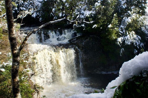 Cradle Mountain Day Tour From Launceston Including Lunch - Accommodation Port Macquarie 0