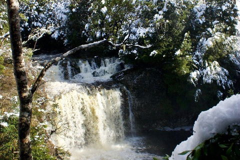 Cradle Mountain Park Explorer Guided Tour - Accommodation Port Macquarie 4