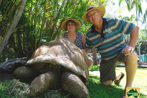 Small-Group Australia Zoo Day Trip From Brisbane - Accommodation Port Macquarie 1