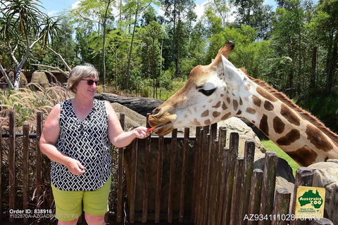 Small-Group Australia Zoo Day Trip From Brisbane - Accommodation Port Macquarie 2