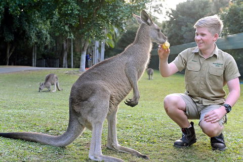 Small-Group Australia Zoo Day Trip From Brisbane - Accommodation Port Macquarie 4