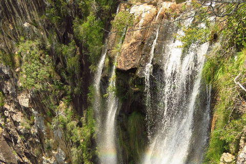 Beyond Byron Hinterland Tour - Accommodation Port Macquarie 5