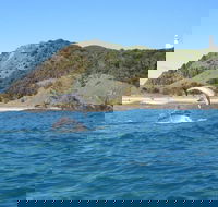 Kayaking with Dolphins in Byron Bay Guided Tour - Accommodation Port Macquarie