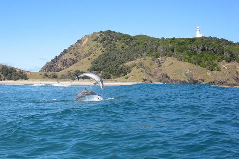 Kayaking With Dolphins In Byron Bay Guided Tour - Accommodation Port Macquarie 0